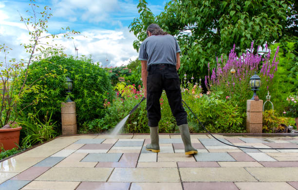 Best Fence Cleaning  in Mpbell, CA